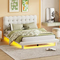 Queen Velvet Upholstered Platform Bed with LED Lights & Button-Tufted Headboard – Beige / Gray, MDF & Plywood, Single