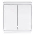 30" Rectangular Accent Cabinet with 2 Doors – Antiqued Gray Oak / Black Grain / White / Alder White, Single-Person Assembly